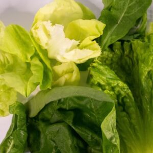 Mix de hojas verdes - 200 GR -