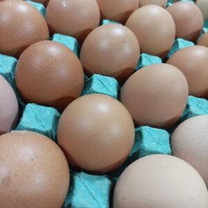 Maple Huevos Blancos - NRO 1 -