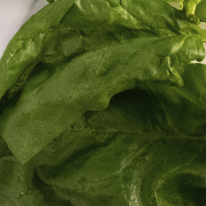 Espinaca Fresca - 1 KG -