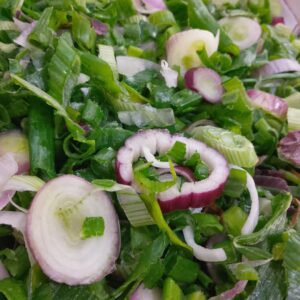 Verdeo Rodajitas - 1KG -