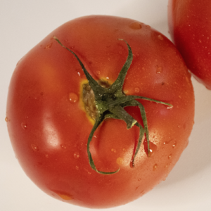 Tomate Redondo - 1 KG -