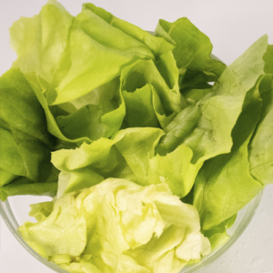 LECHUGA MANTECA - 1KG -