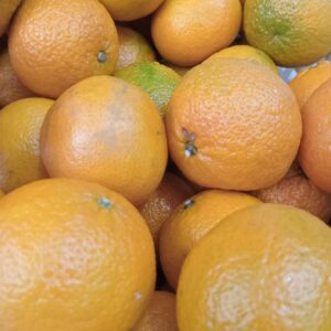 Mandarina Premium - 1KG -